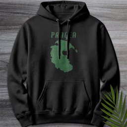 Vintage Distressed Pangea Premium Hoodie Gift For Nature Lover