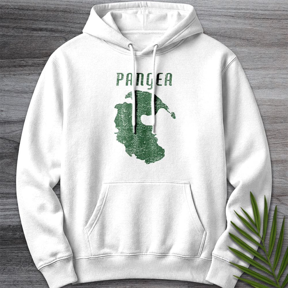 Vintage Distressed Pangea Premium Hoodie Gift For Nature Lover