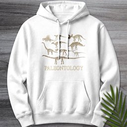 Paleontology A Gallery In Bone Premium Hoodie Gift For Dinosaur Lover