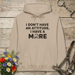 I Dont Have An Attitude Hoodie Gift For Horse Lover