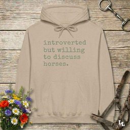 Introverted But Willing To Discuss Horses Hoodie Gift For Horse Lover