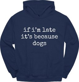 Because Dogs Hoodie Gift For Dog Lover