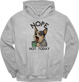 Australian Cattle Dog Not Today Hoodie Gift For Dog Lover