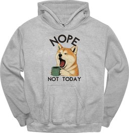 Akita Not Today Hoodie Gift For Dog Lover