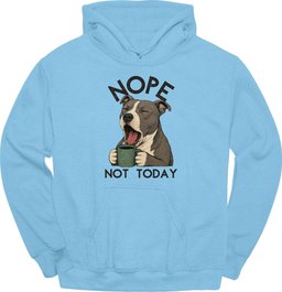 American Staffordshire Terrier Not Today Hoodie Gift For Dog Lover