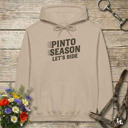 Pinto Season Lets Ride Hoodie Gift For Horse Lover