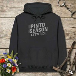 Pinto Season Lets Ride Hoodie Gift For Horse Lover