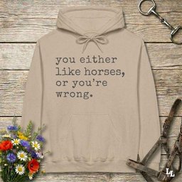 You Either Like Horses Or Youre Wrong Hoodie Gift For Horse Lover