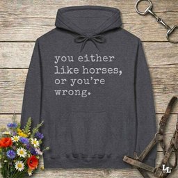You Either Like Horses Or Youre Wrong Hoodie Gift For Horse Lover
