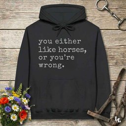 You Either Like Horses Or Youre Wrong Hoodie Gift For Horse Lover