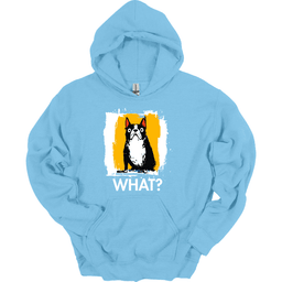 Boston Terrier What Dog Hoodie Gift For Dog Lover