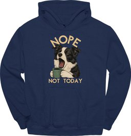 Border Collie Not Today Hoodie Gift For Dog Lover