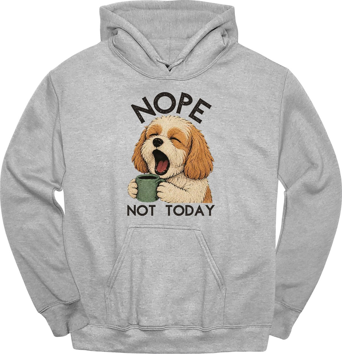 Cavachon Not Today Hoodie Gift For Dog Lover