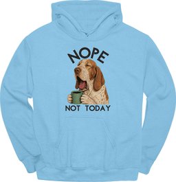 Bracco Italiano Not Today Hoodie Gift For Dog Lover