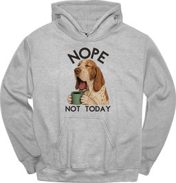Bracco Italiano Not Today Hoodie Gift For Dog Lover