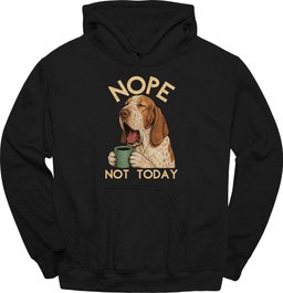Bracco Italiano Not Today Hoodie Gift For Dog Lover
