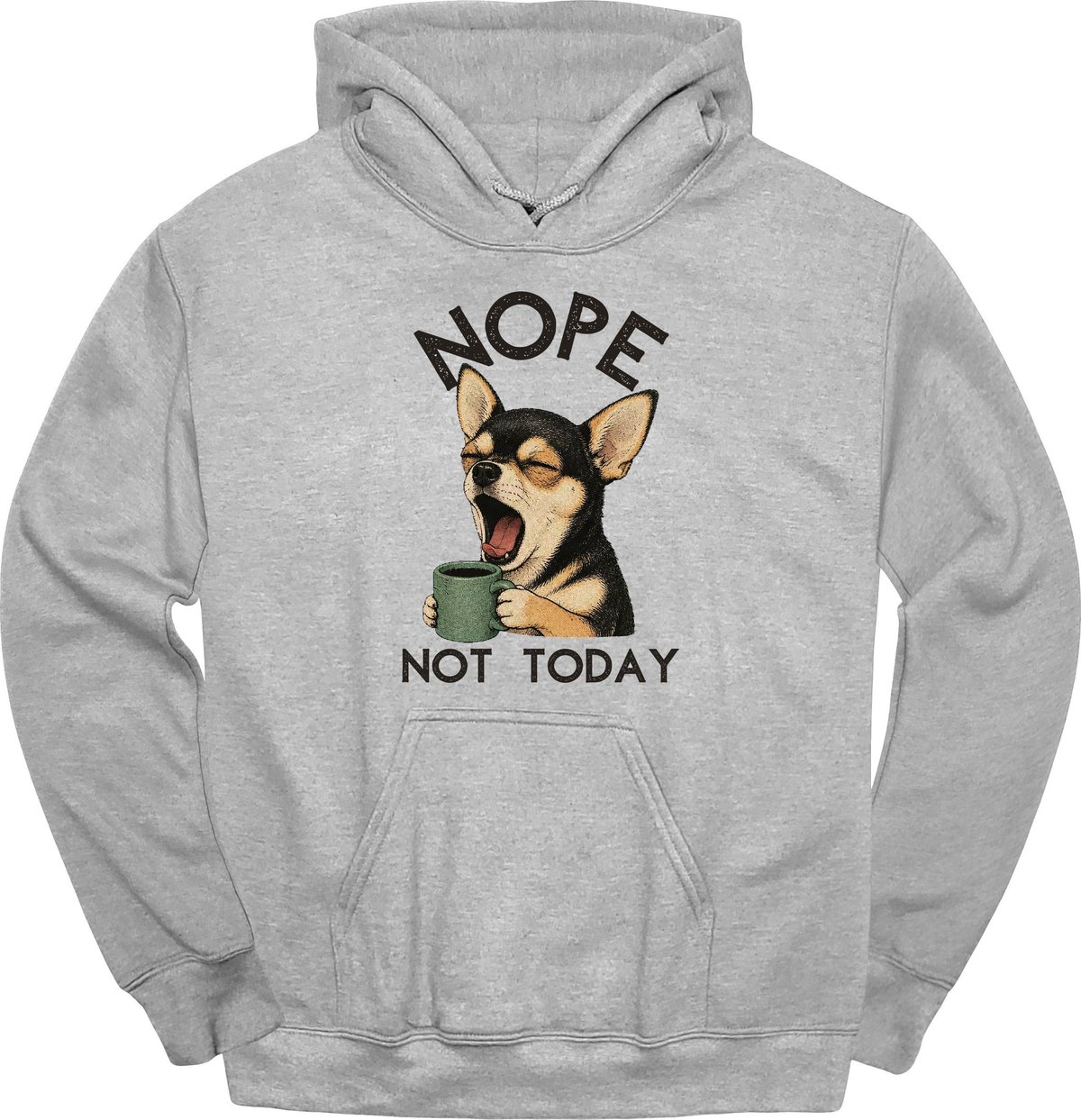Chihuahua Not Today Hoodie Gift For Dog Lover