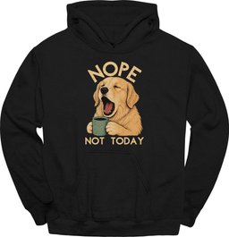 Golden Retriever Not Today Hoodie Gift For Dog Lover