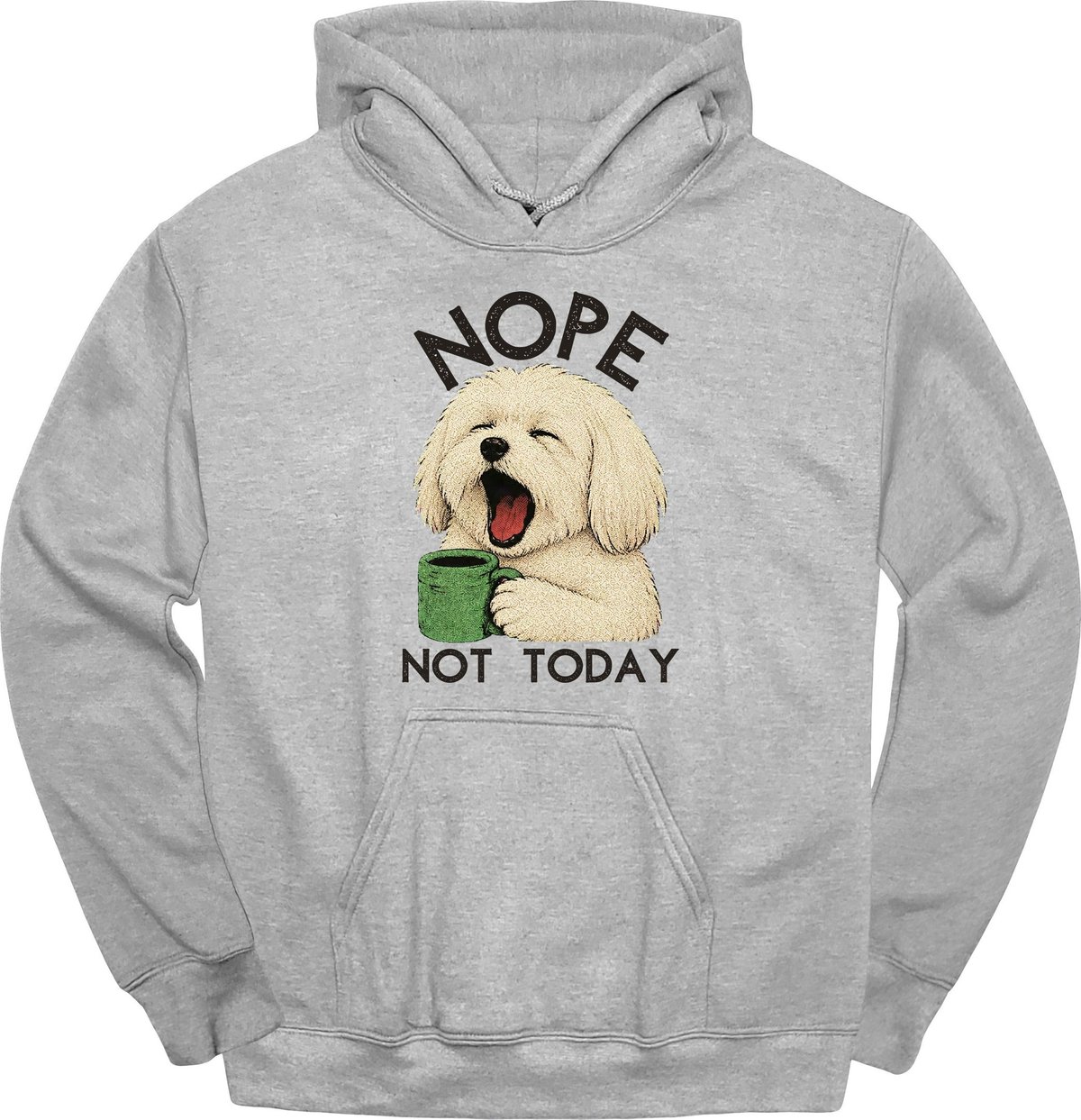 Coton De Tulear Not Today Hoodie Gift For Dog Lover