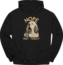 English Setter Not Today Hoodie Gift For Dog Lover