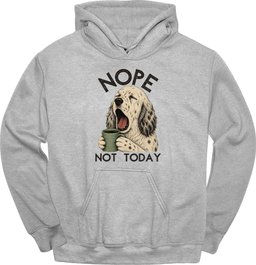 English Setter Not Today Hoodie Gift For Dog Lover