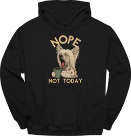 Chinese Crested Not Today Hoodie Gift For Dog Lover
