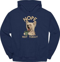Chinese Crested Not Today Hoodie Gift For Dog Lover