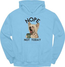 Chinese Crested Not Today Hoodie Gift For Dog Lover