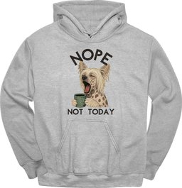 Chinese Crested Not Today Hoodie Gift For Dog Lover