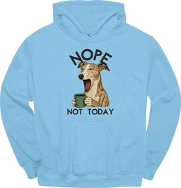Galgo Not Today Hoodie Gift For Dog Lover