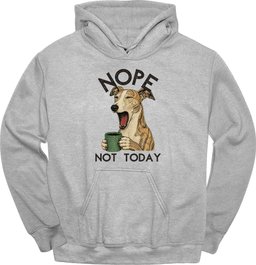 Galgo Not Today Hoodie Gift For Dog Lover