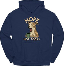 Galgo Not Today Hoodie Gift For Dog Lover