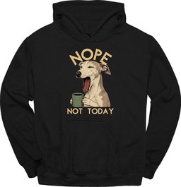 Greyhound Not Today Hoodie Gift For Dog Lover