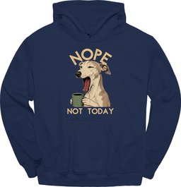Greyhound Not Today Hoodie Gift For Dog Lover