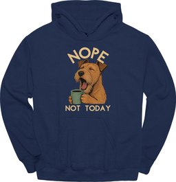 Irish Terrier Not Today Hoodie Gift For Dog Lover