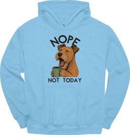 Irish Terrier Not Today Hoodie Gift For Dog Lover