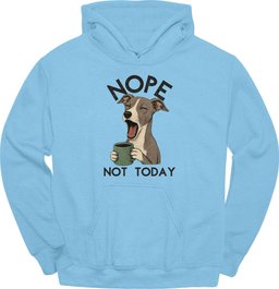 Italian Greyhound Not Today Hoodie Gift For Dog Lover
