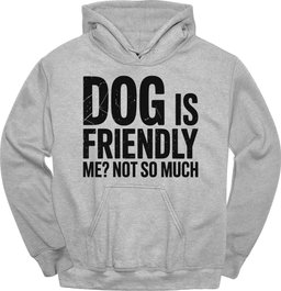 Not So Much Hoodie Gift For Dog Lover