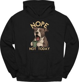 Pitbull Not Today Hoodie Gift For Dog Lover