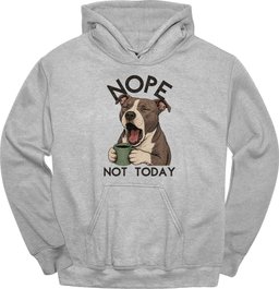 Pitbull Not Today Hoodie Gift For Dog Lover