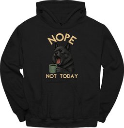 Schipperke Not Today Hoodie Gift For Dog Lover