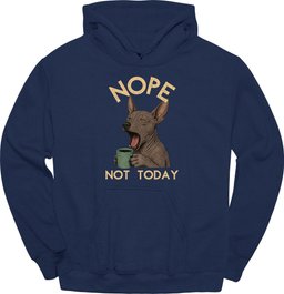 Xoloitzcuintli Not Today Hoodie Gift For Dog Lover