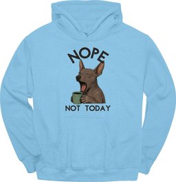 Xoloitzcuintli Not Today Hoodie Gift For Dog Lover