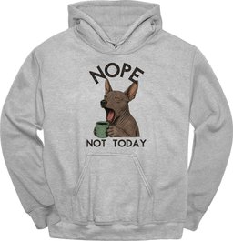 Xoloitzcuintli Not Today Hoodie Gift For Dog Lover