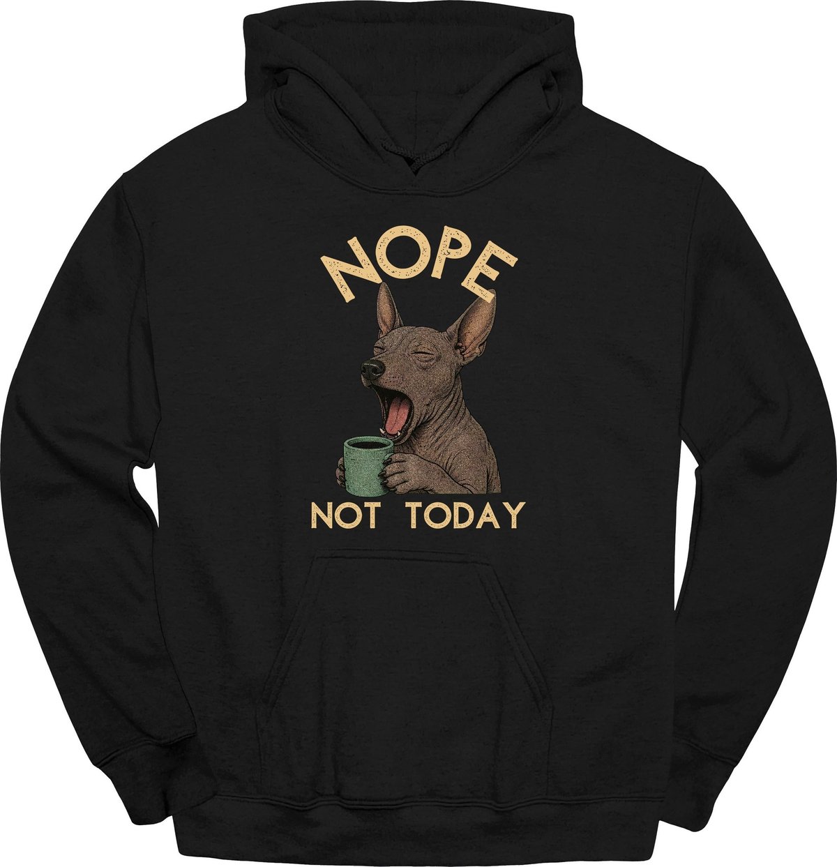 Xoloitzcuintli Not Today Hoodie Gift For Dog Lover