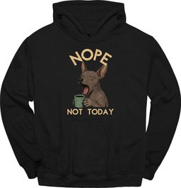 Xoloitzcuintli Not Today Hoodie Gift For Dog Lover