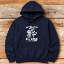 Big Dawg Allegations Hoodie Gift For Skier