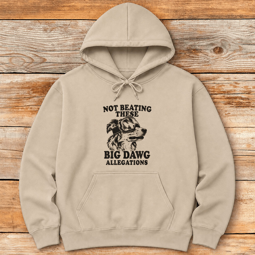 Big Dawg Allegations Hoodie Gift For Skier