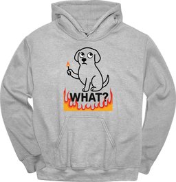 What Match Hoodie Gift For Dog Lover