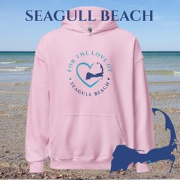 Favorite Beach For The Love Of Seagull Beach Unisex Hoodie Gift For Cape Cod Lover